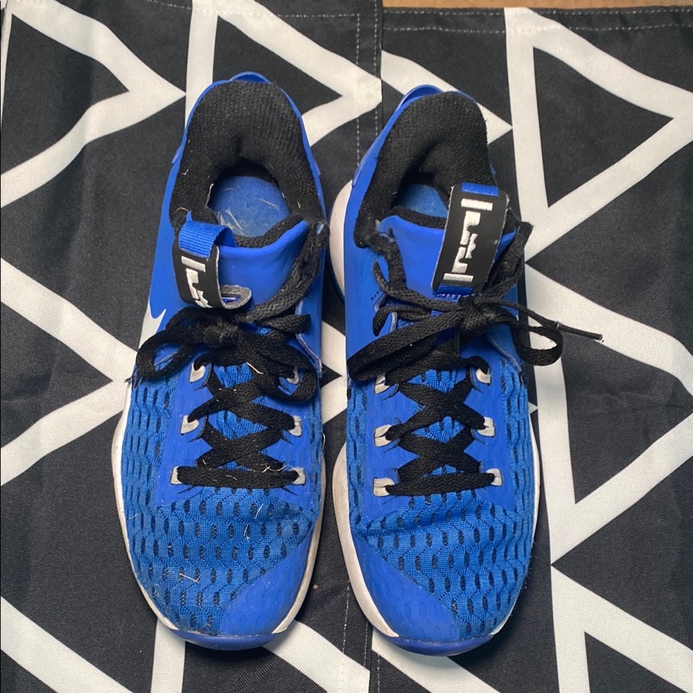 Nike Blue Boy Lebron Witness 5